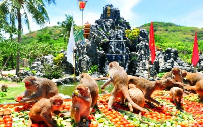 Tours du lịch Đà Nẵng